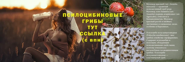 мяу мяу мука Верхний Тагил