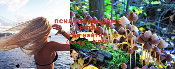 мяу мяу мука Верхний Тагил