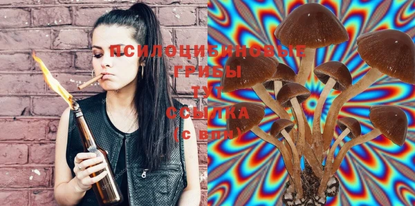мяу мяу мука Верхний Тагил