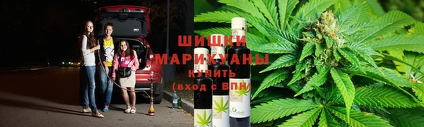 spice Верея