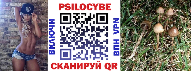 Псилоцибиновые грибы ЛСД Апрелевка